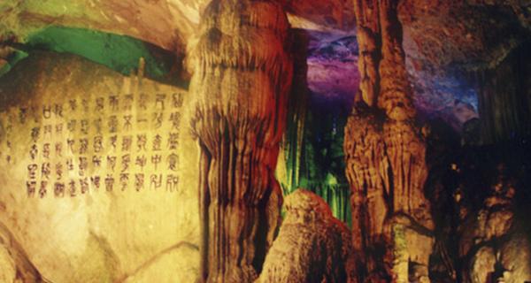 听别人给他出主意离我远点+我怎么回复?-问题是种子,答案是成长的树